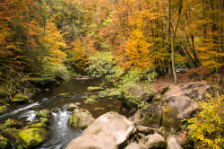 Echternacherbrück_2