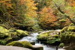 Echternacherbrück_3