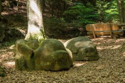 Echternacherbrück_30