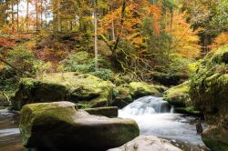 Echternacherbrück_35